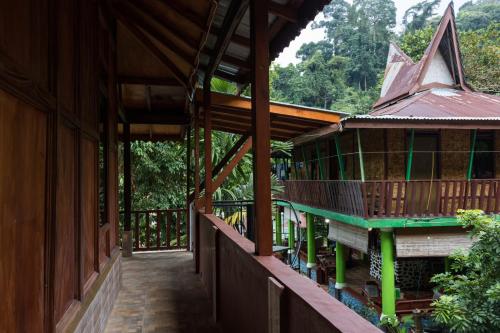 Rain Forest Guest House in Bukit Lawang