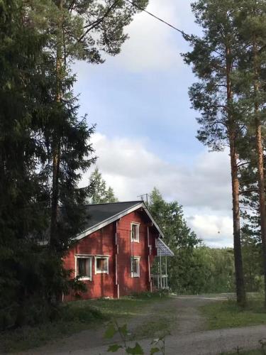 Lomahyppäys - image 14
