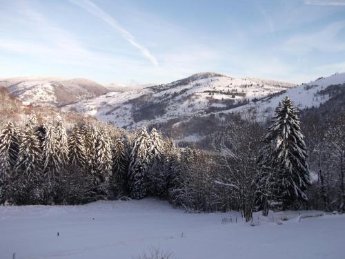 La Ferme du Vieux Sapin