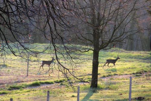 Agriturismo Podere Campinovi