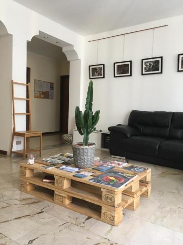 Lotus B&B 3