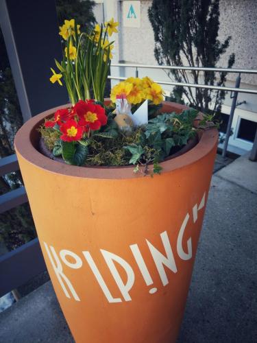 Kolping Gästehaus - image 14