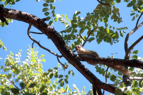 Supanti aplinka, Ghaub Nature Reserve and Farm in Tsumeb