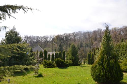 Villa Zala - image 2