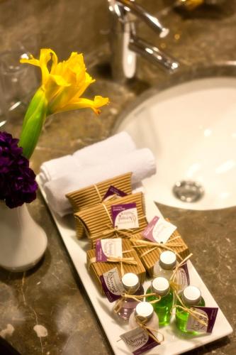 GLK PREMIER Acropol Suites & Spa, Istanbul (photo 7)