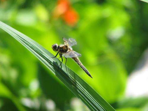Landhaus Egger - image 9
