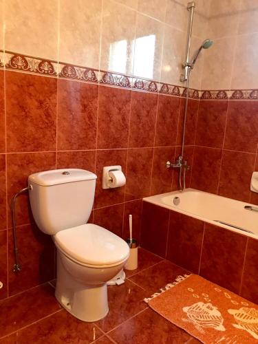 Trouzini Villa 1, Peja (zdjęcie 9)