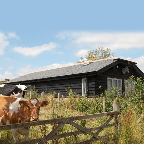Bull Farm Studios - image 13