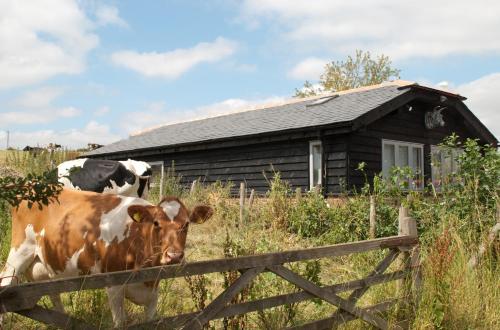 Bull Farm Studios, , Hampshire