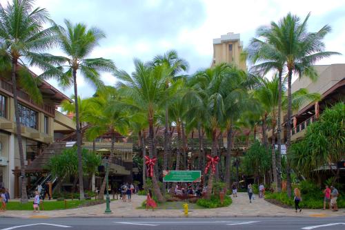 Island Colony #3915 - image 5