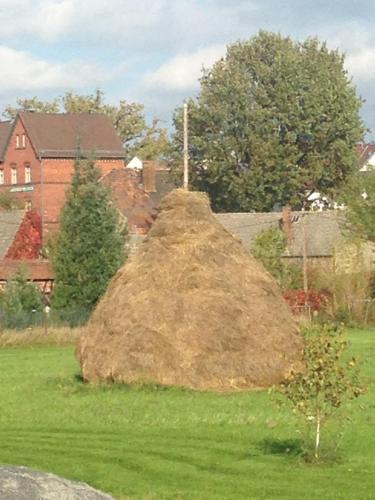 บริการและสิ่งอำนวยความสะดวก, Ferienwohnung am Torbogen Nr.3 in เชอเนเฟลด์