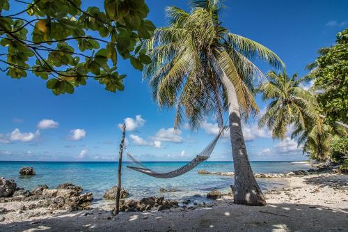 Le Coconut Lodge