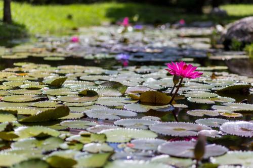 花蓮統一的家民宿The home place 花蓮統一的家民宿The home place