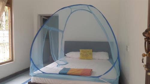 Priyanna Guest, Forest view