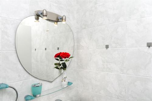 Apartment Branka - image 8