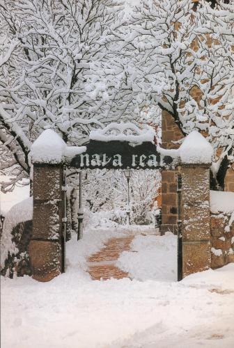 Nava Real - image 6
