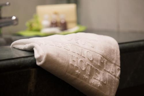 Massimo Plaza Hotel - image 5