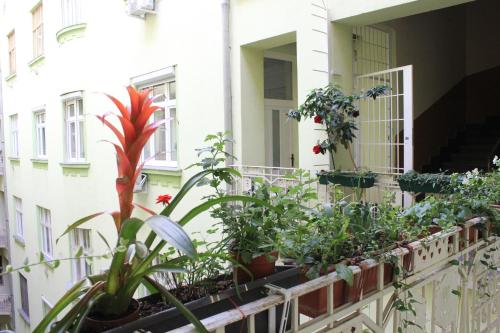 Charming and unique apartment with balcony by the Great Synagogue - image 5