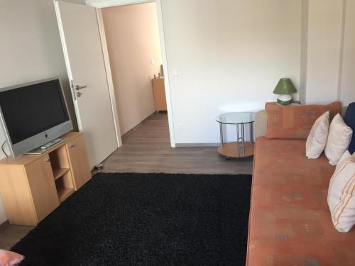 City-Apartment in Nurnberg, Norimberk (fotografie 9)