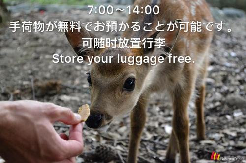 Nara Deer Hostel- - 外国人向け - 日本人予約不可