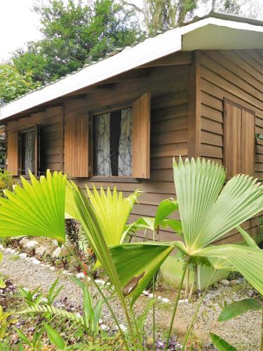 Exterior view, Casa Lina EcoLodge privat apartment in Puerto Viejo de Talamanca