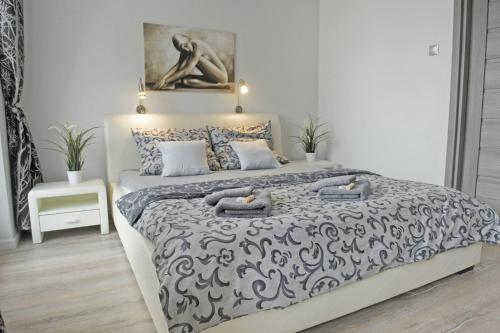 Apartamenty Nad Jeziorkiem Room Type - Apartment with Jacuzzi