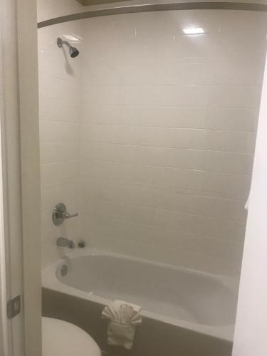 Navasota Inn - image 2