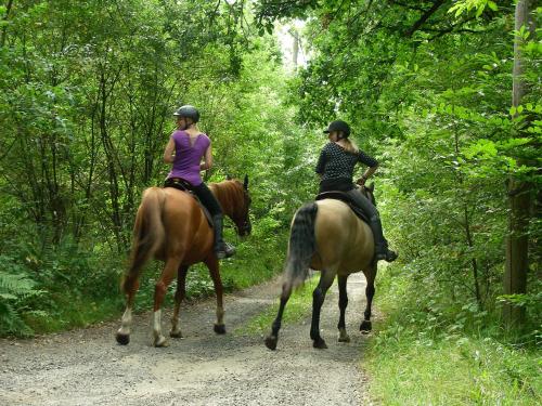 Blick zum Maimont - image 2