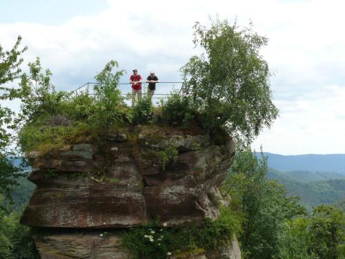 Blick zum Maimont - main image