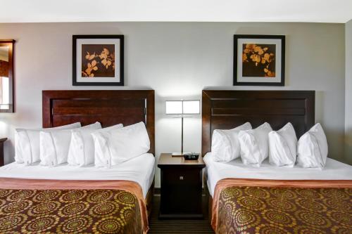 . Canalta Hotel Humboldt