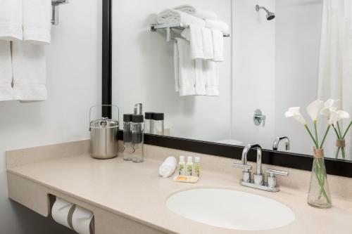 Studio Allston Hotel Room Type - Queen Room with Two Queen Beds - Disability Access