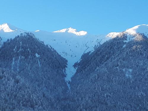Fewo's Sieberer in Kirchbach, Österreich