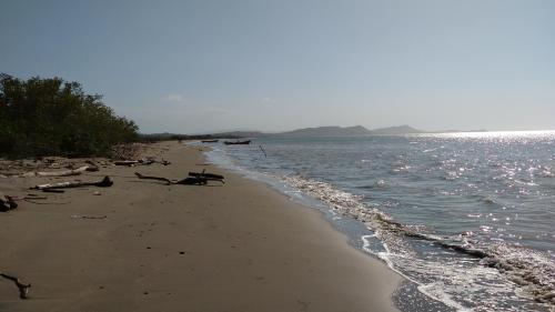 Frente al Mar