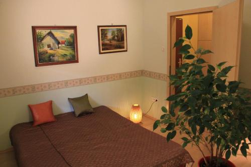 Raday Central Apartment, Budapešť (fotografie 8)