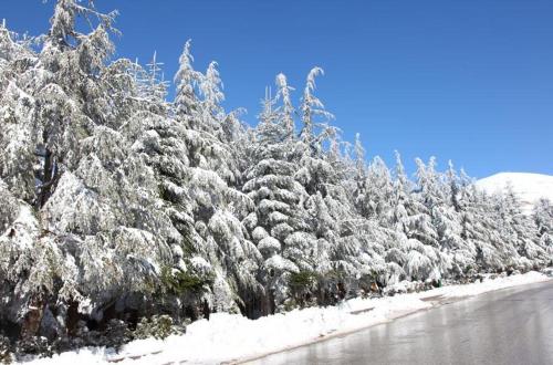 L'escale Du Mzaar in Kfardebian