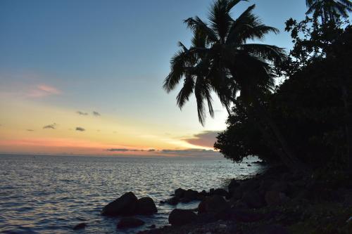 Island Breeze Fiji