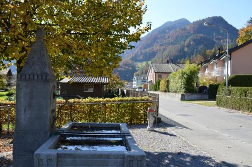 Jungfrau Family Holiday Home - image 10