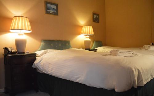 A-Haven Townhouse Hotel - image 5