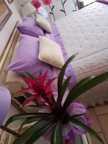  B&B La Delice in Dalmine