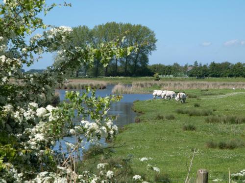 De Eenhoorn - image 12