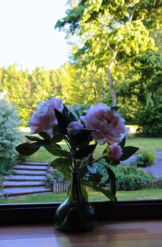 Domaine de l'Olifant - image 3