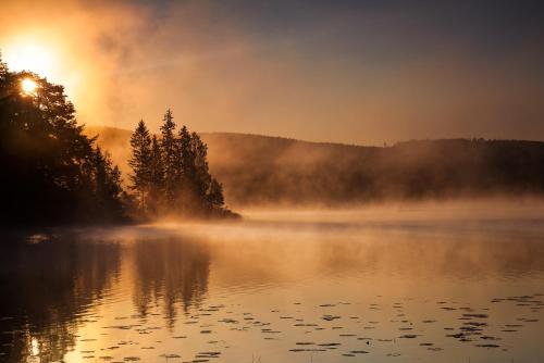 Ferienhaus Vitsand in Torsby