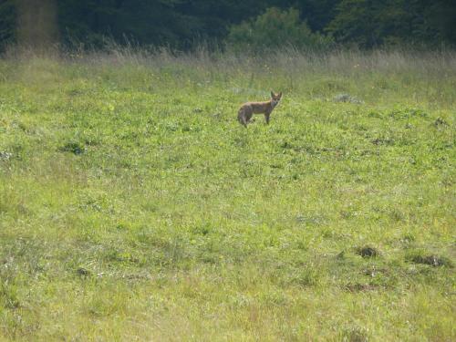  Quiétude - Au théâtre d´Awenne in Awenne