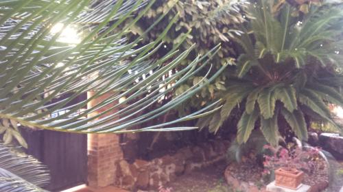 St. John Villa - image 7