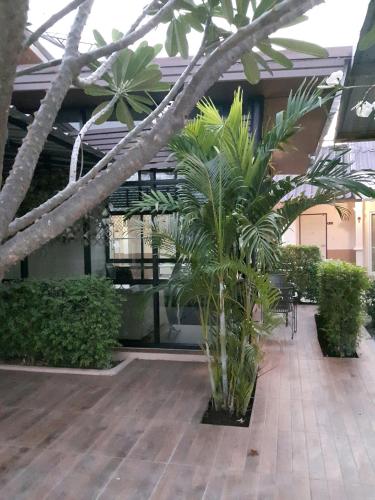 The Chill House thumbnail 5