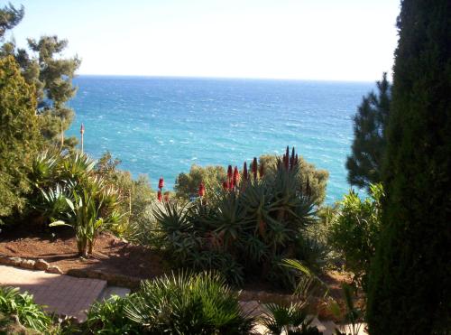 Hotel Miramar - image 6
