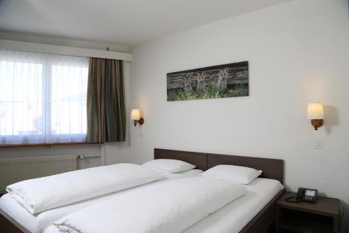 Hotel Crystal Interlaken - image 9