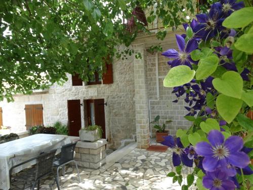  Vesna in Sveti Lovreč Pazenatički