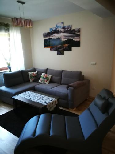 Apartament HANIA, Zakopane (fotografie 10)