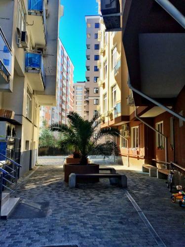Apartments in Sochi